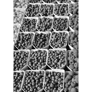 Fruits poster | Cool svartvit tavla till kök - Spoca