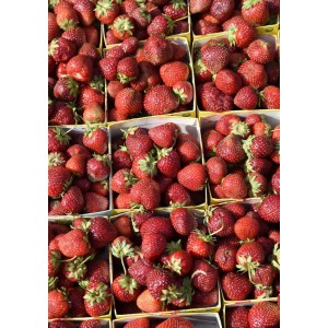 Strawberries poster | Print till kökstavlor - Spoca