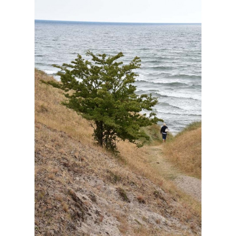 Back To Nature. Tavla med snyggt naturmotiv.