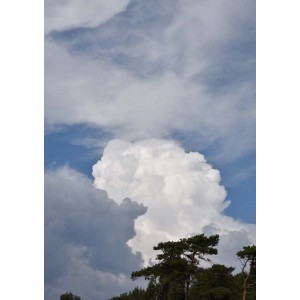 Clouds in the sky poster | Snygga tavlor till hemmet - Spoca