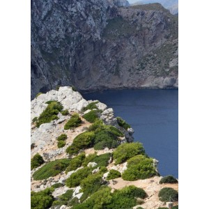 Nordligaste punkten på Mallorca, här finner Klas EHH lugnet och motivet som blir till denna tavla - Spoca.