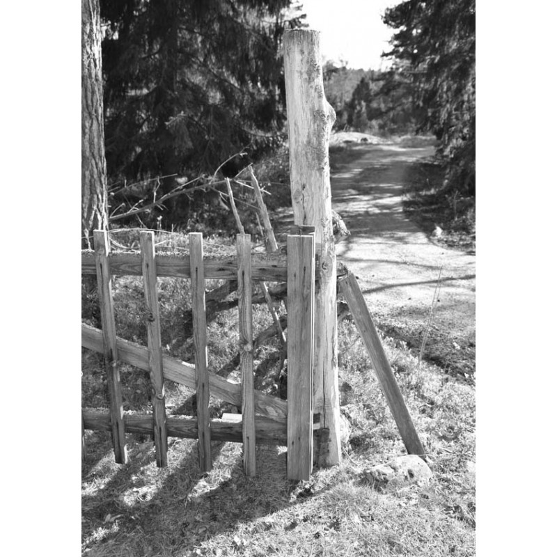 Back To Nature Naturmotiv Spoca + Klas